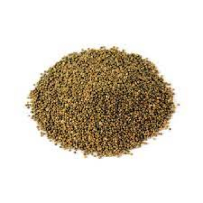 Kanocha / Phyllanthus maderaspatensis seeds / Madras Leaf Flower Seeds / تخم کنوچہ