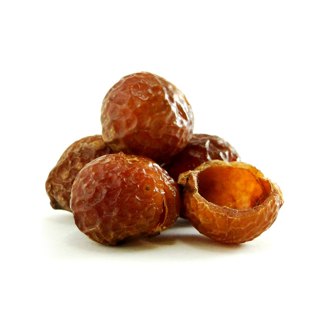 Retha / Soap Nuts / ریٹھے