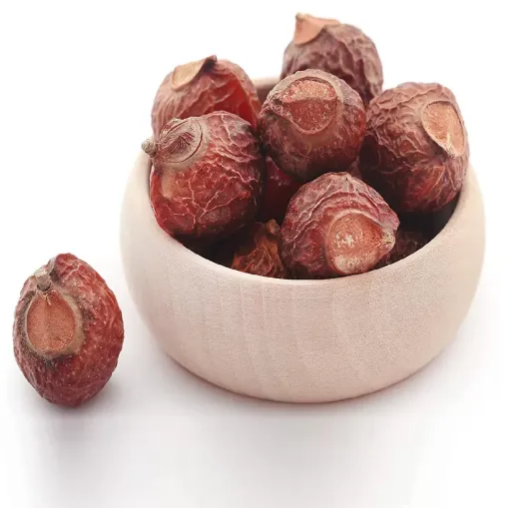 Retha / Soap Nuts / ریٹھے