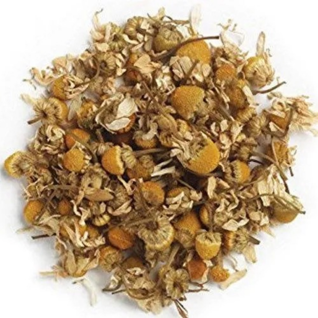 Gul e Babona / Chamomile flower / گل بابونہ