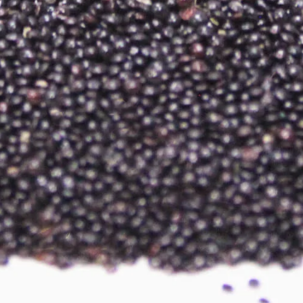 Salara / Plumed Cockscomb Seeds / Sirwali / سروالی /سلارہ
