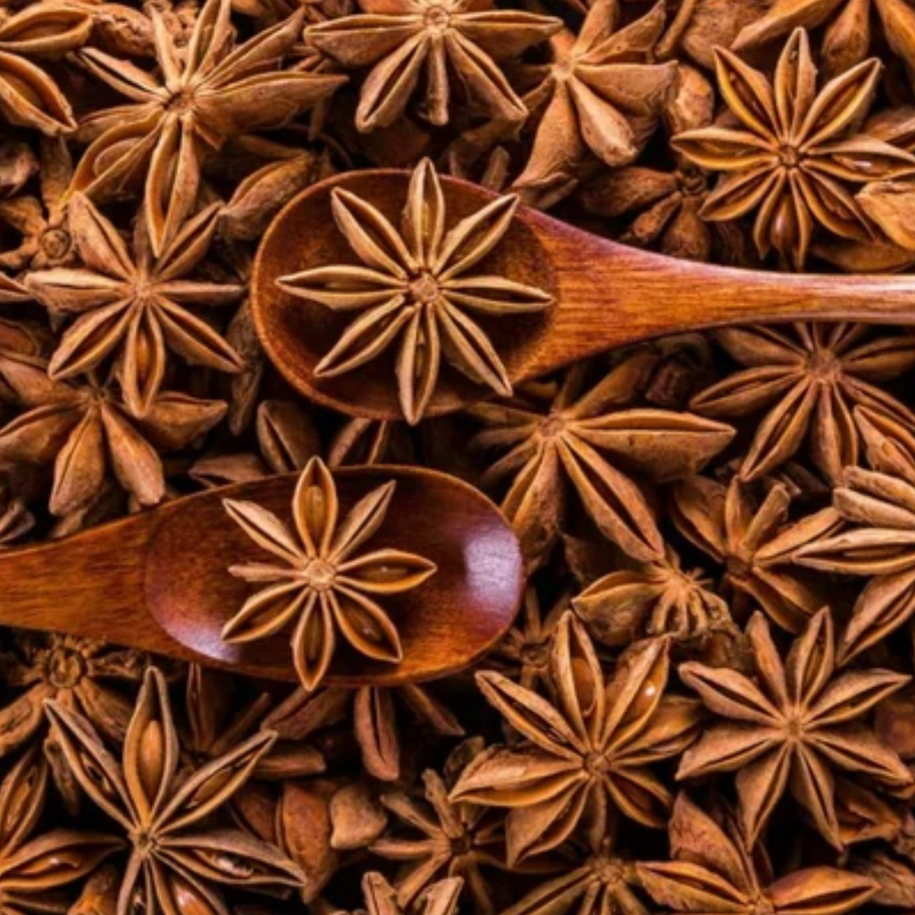 Badian Khatai / Star Anise / بادیاں خطائی