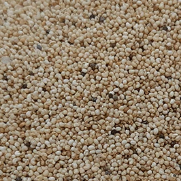 Khaskhash / Poppy Seeds خشخاش