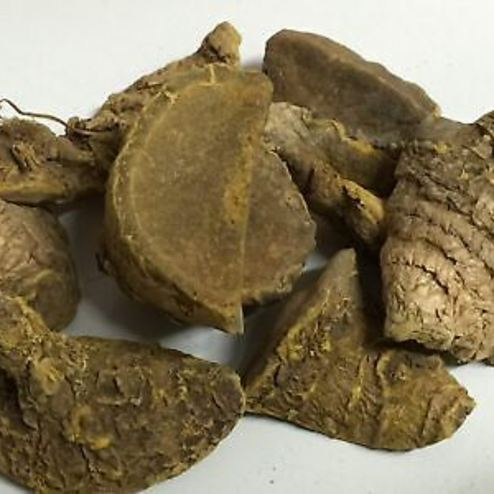 Amba Haldi / Wild Turmeric / آنبہ ہلدی