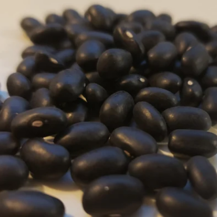 Tukhm e Baqla / Winged Beans /  Psophocarpus Seeds باقلہ