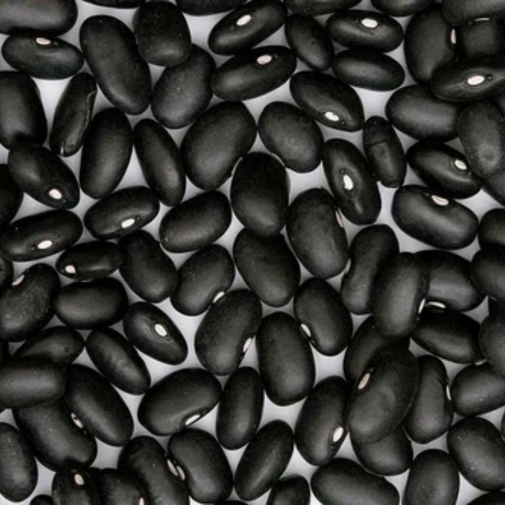 Tukhm e Baqla / Winged Beans /  Psophocarpus Seeds باقلہ