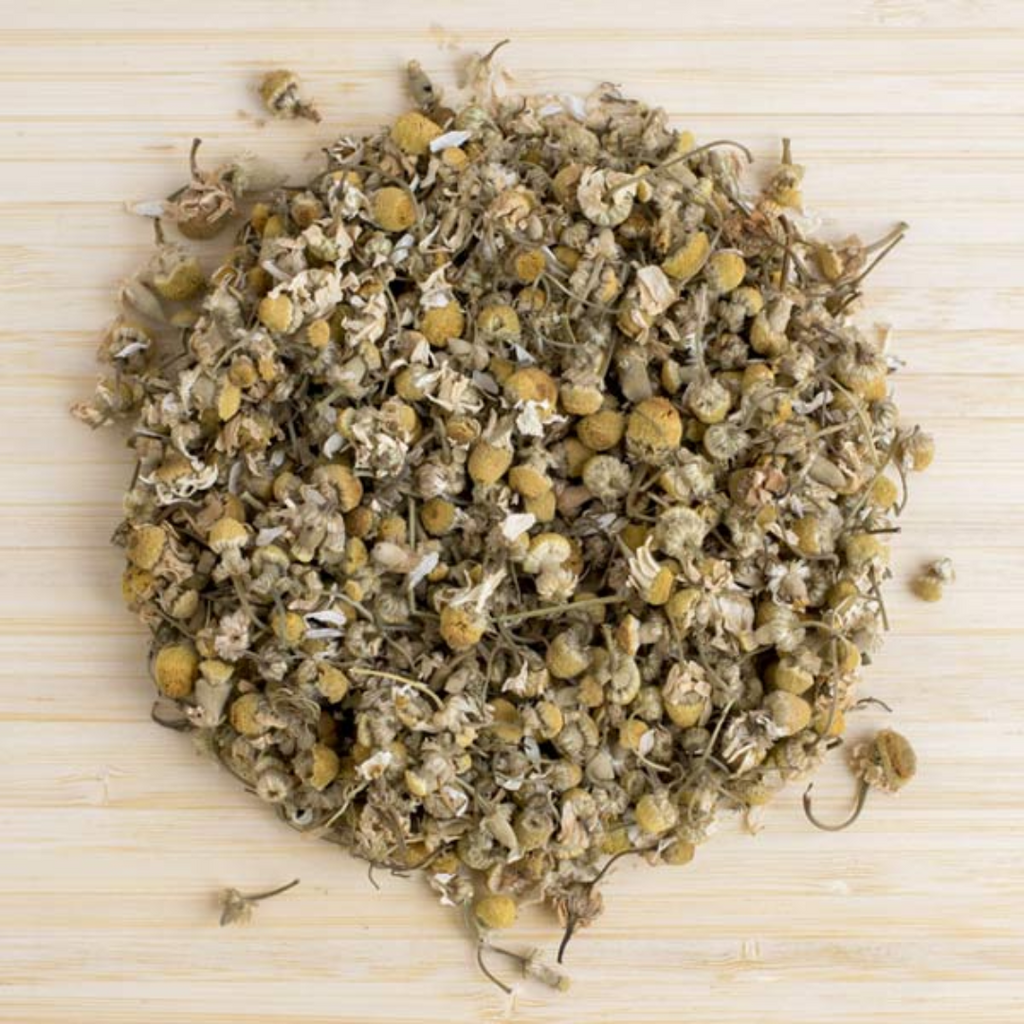 Gul e Babona / Chamomile flower / گل بابونہ