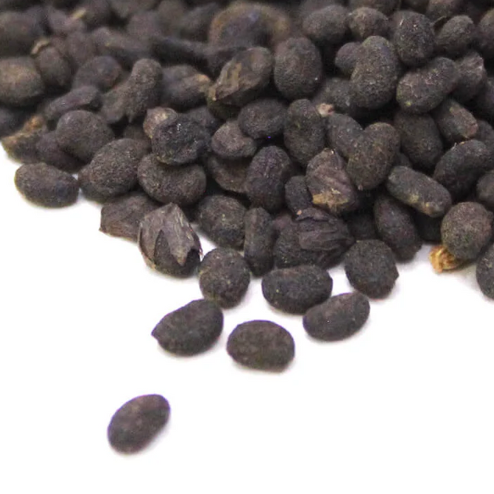 Tukhm e Babchi / Psoralea Corylifolia Seeds / بابچی