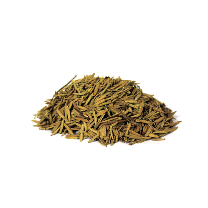 Indarjo Talkh / Tellicherry Bark / Bitter Oleander Holarrhena Pubescens / اندرجوں تلخ / کوڑے جوں