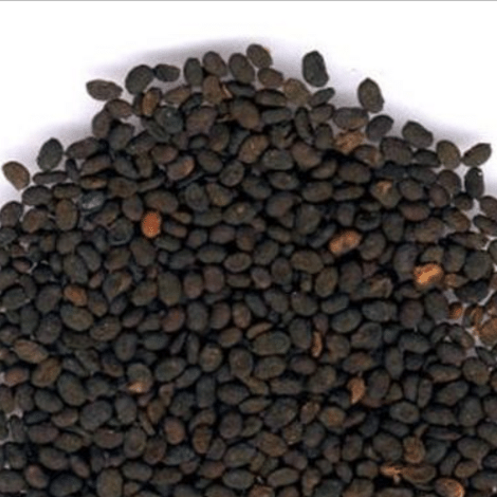 Tukhm e Babchi / Psoralea Corylifolia Seeds / بابچی