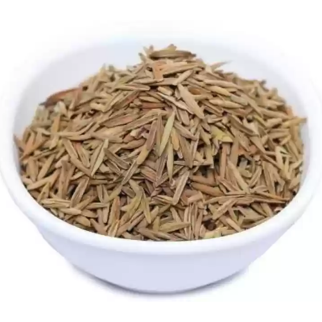 Indarjo Talkh / Tellicherry Bark / Bitter Oleander Holarrhena Pubescens / اندرجوں تلخ / کوڑے جوں