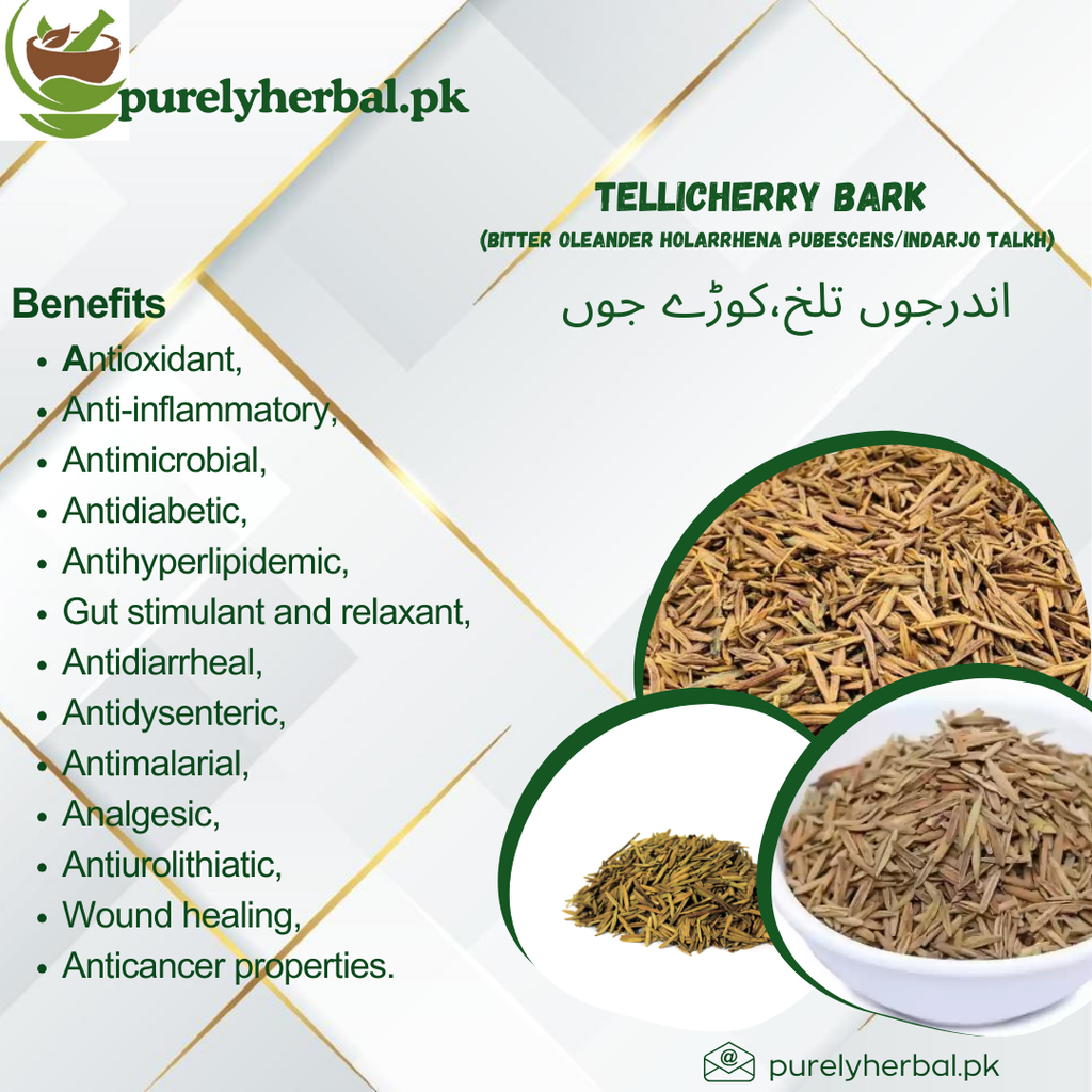 Indarjo Talkh / Tellicherry Bark / Bitter Oleander Holarrhena Pubescens / اندرجوں تلخ / کوڑے جوں