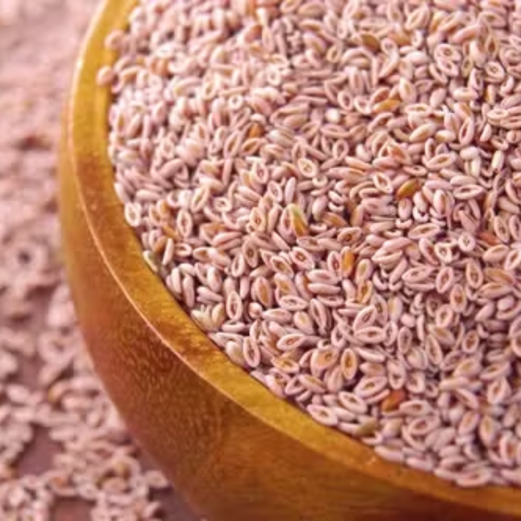 Ispaghol / Psyllium Ispaghol / ثابت اسپغول