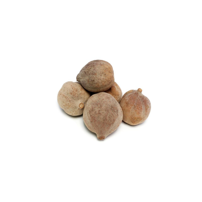 Bahera / Terminalia Bellirica / بھیڑے / بلیلہ