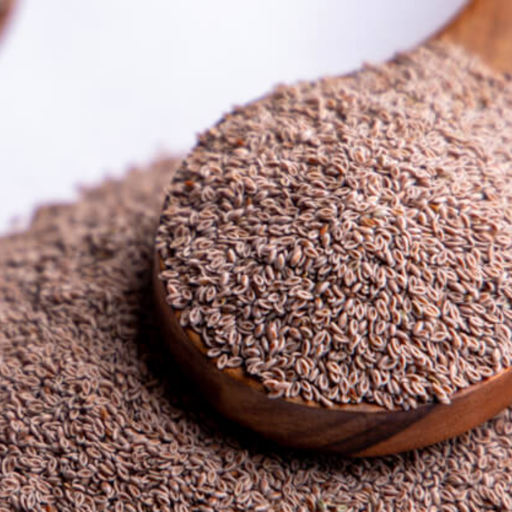 Ispaghol / Psyllium Ispaghol / ثابت اسپغول