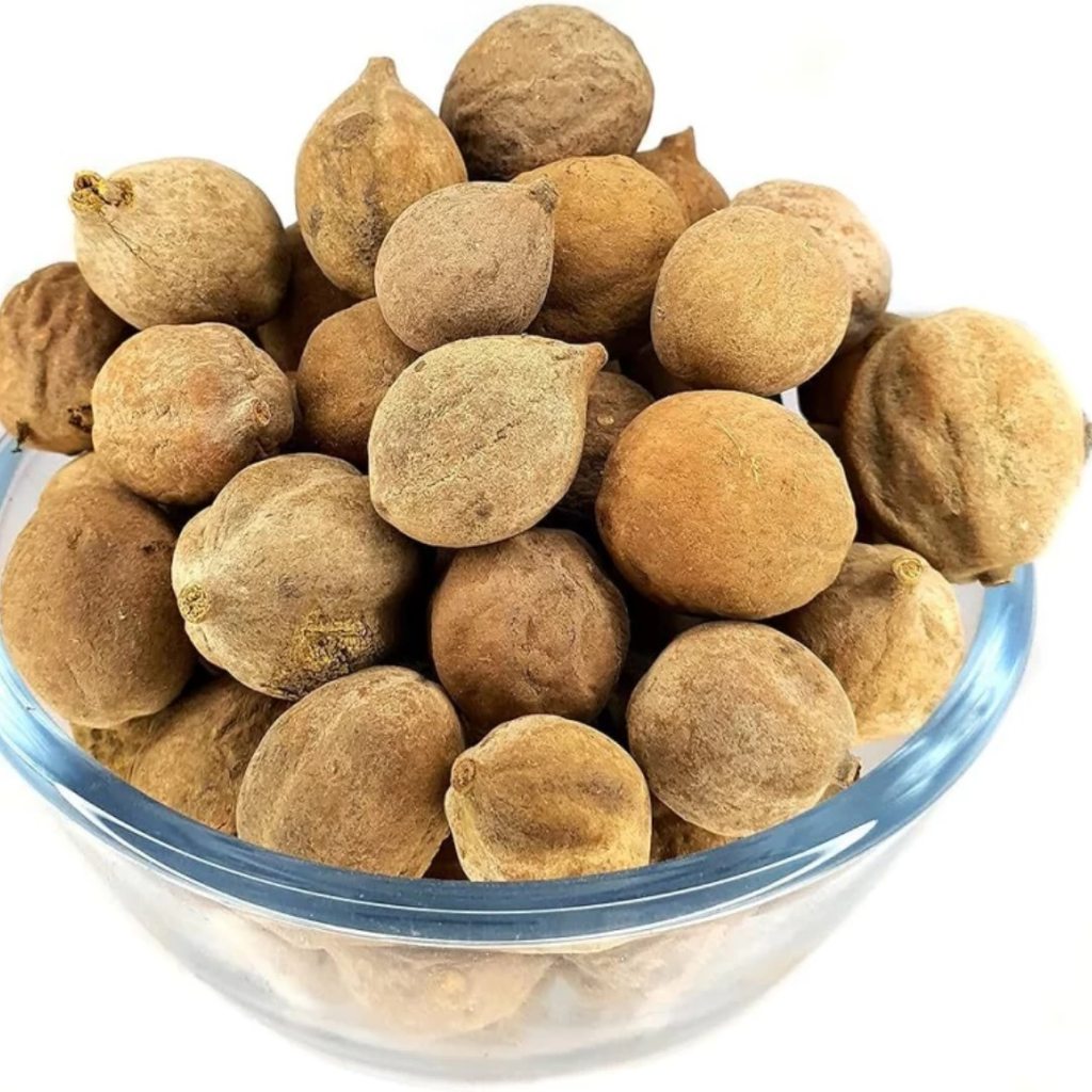 Bahera / Terminalia Bellirica / بھیڑے / بلیلہ