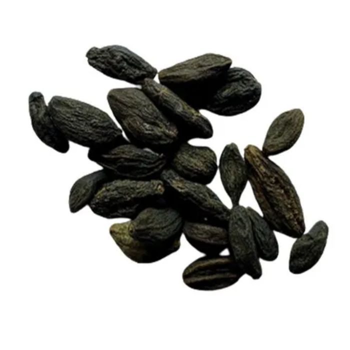 Hareer Siyah / Terminalia Chebula / ہریڑ سیاہ