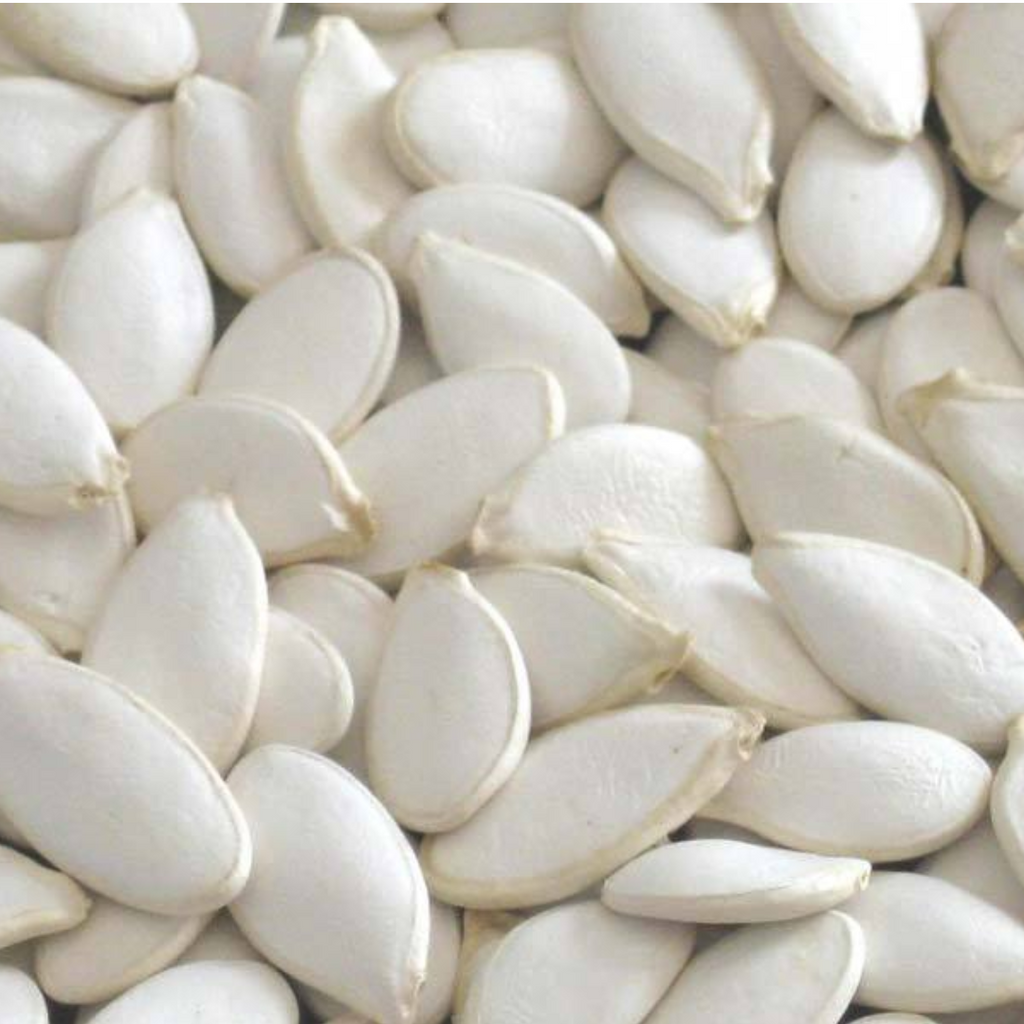 Tukhm e  Kaddu / Pumpkin Seeds  تخم کدو