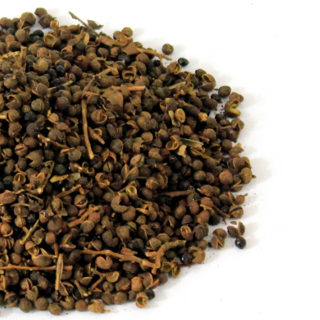 Kababa / Toothache Fruit / Zanthoxylum Alatum کبابہ