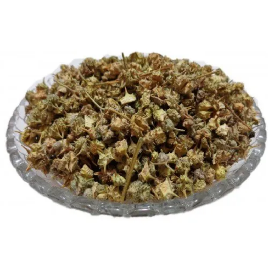 Gokhru / Pakhra / Tribulus Terrestris  گوکھرو