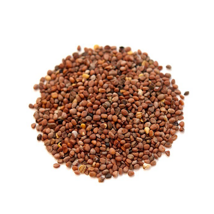 Tukhm e Moli / Radish Seeds / تخم مولی