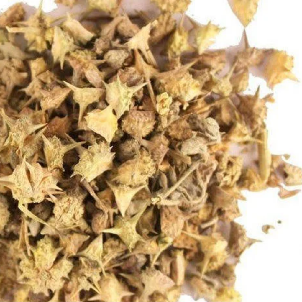 Gokhru / Pakhra / Tribulus Terrestris  گوکھرو