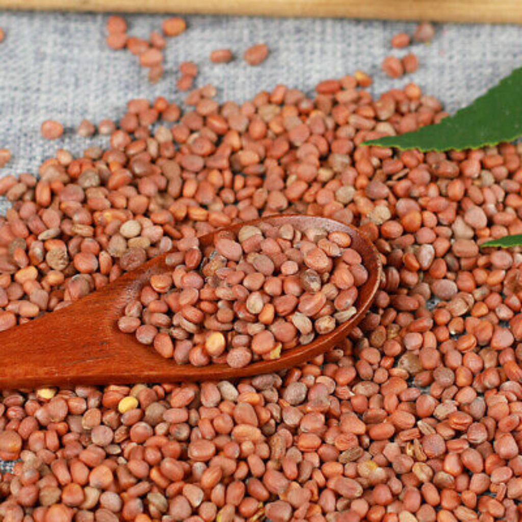 Tukhm e Moli / Radish Seeds / تخم مولی