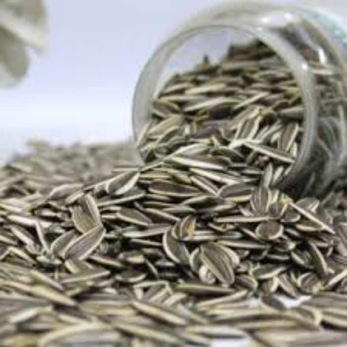 Tukhm e Suraj Mukhi / Sunflower seeds / تخم سورج مکھی