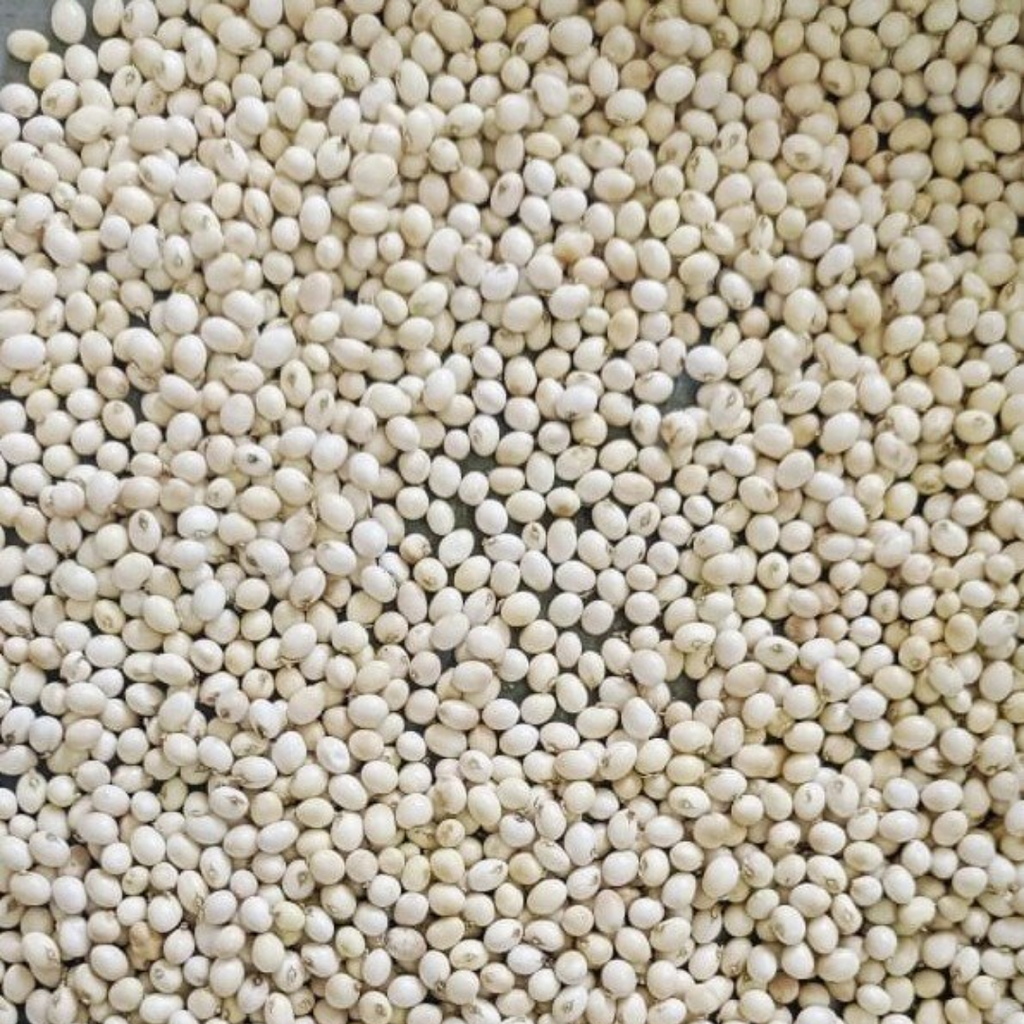 Ratti Safed / White Ghungchi Seeds / رتی سفید
