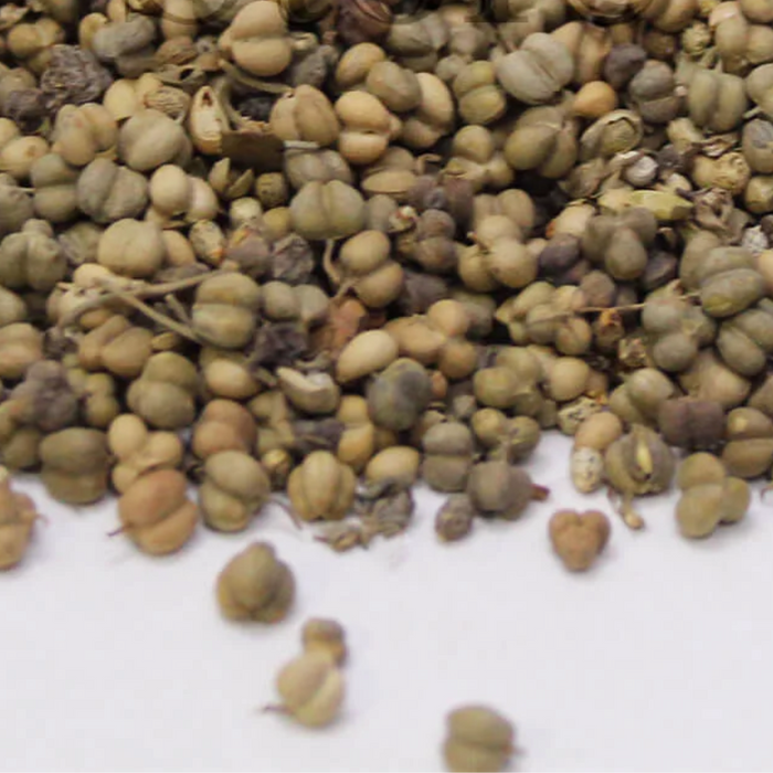 Tukhm e Sudab / Rue seeds / تخم سداب
