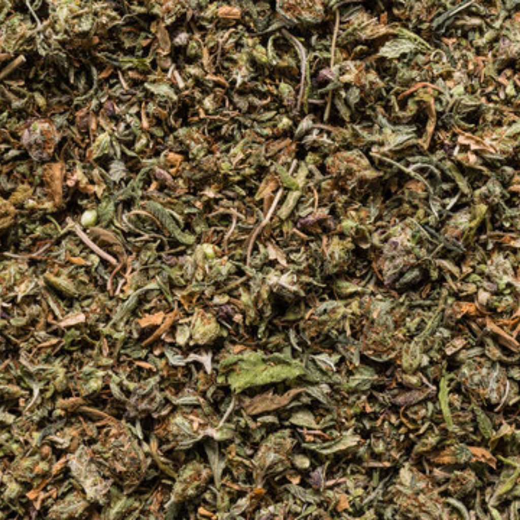Barg e Bhang / Hemp Leaves / Cannabis Leaves بھنگ کے پتے