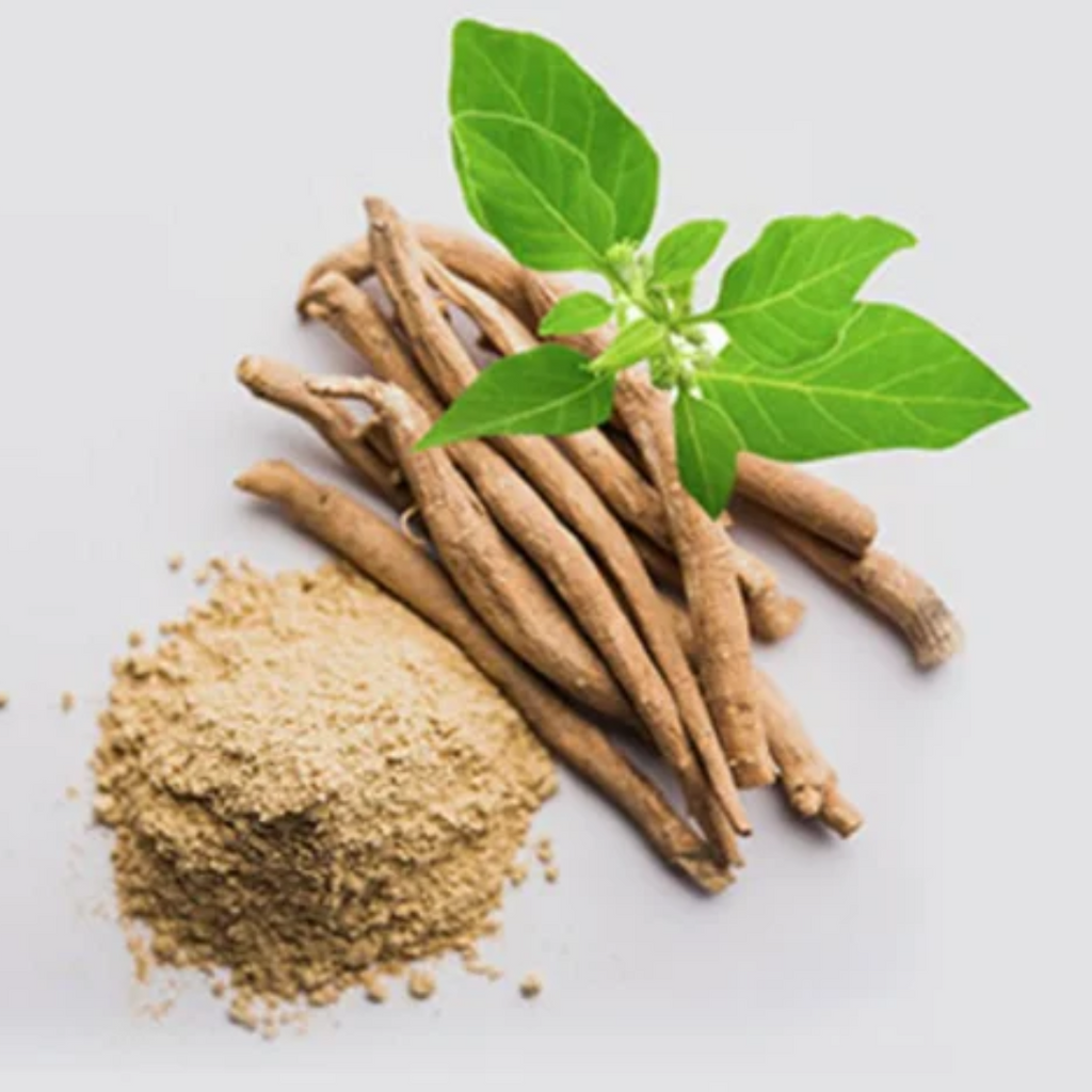 Ashwagandha  / Asgand اسگندھ