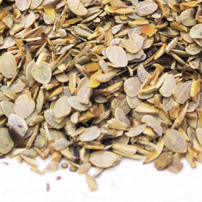 Tukhm e Otangan / Blepharis Edulis  / تخم اوٹنگن