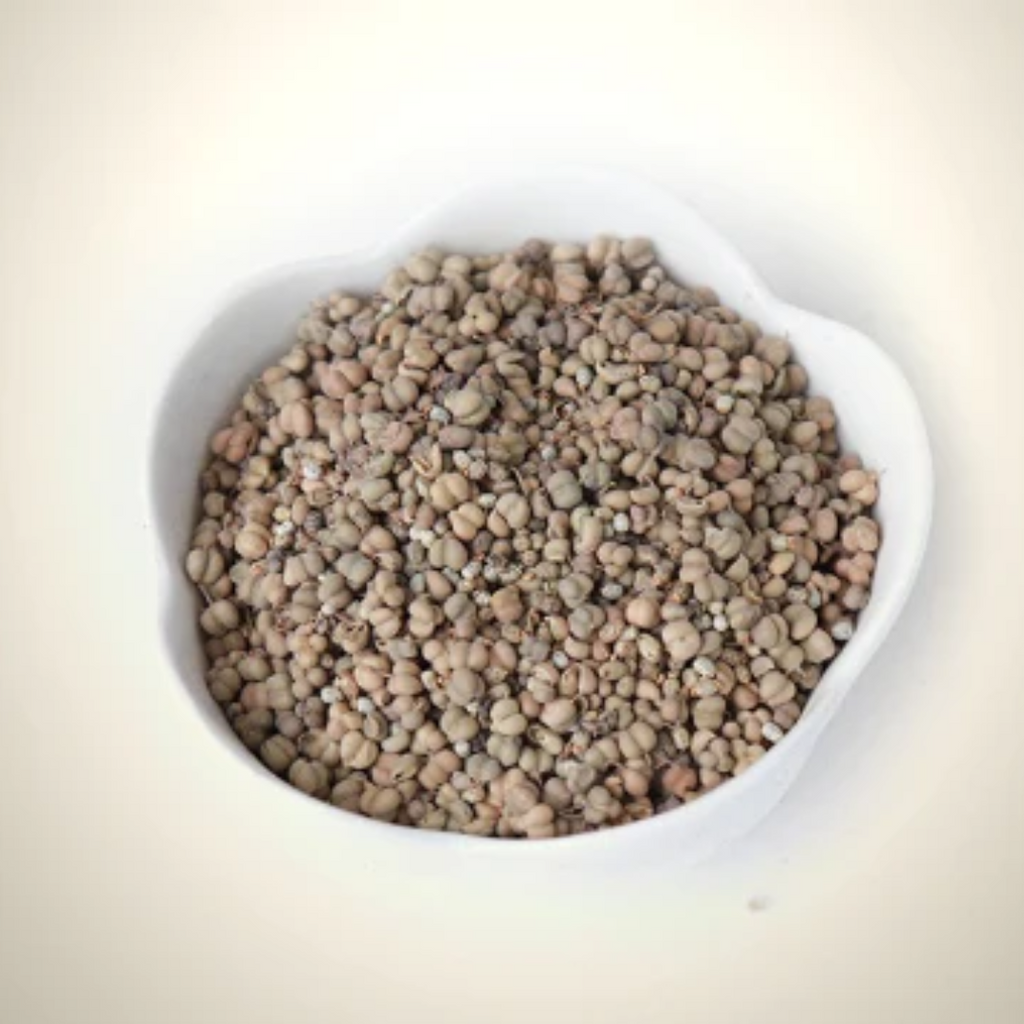 Tukhm e Sudab / Rue seeds / تخم سداب