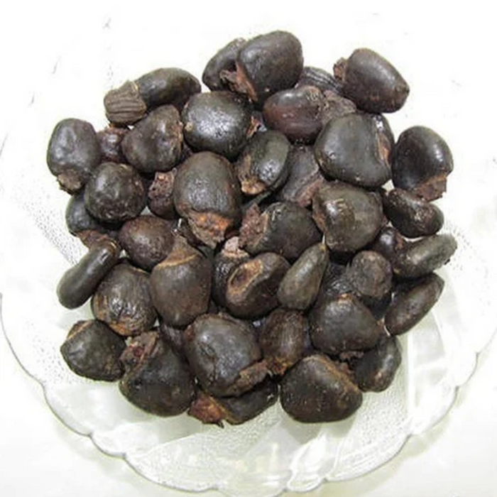 Bhalaveeh / Semecarpus Anacardium Seeds / بھلاوے