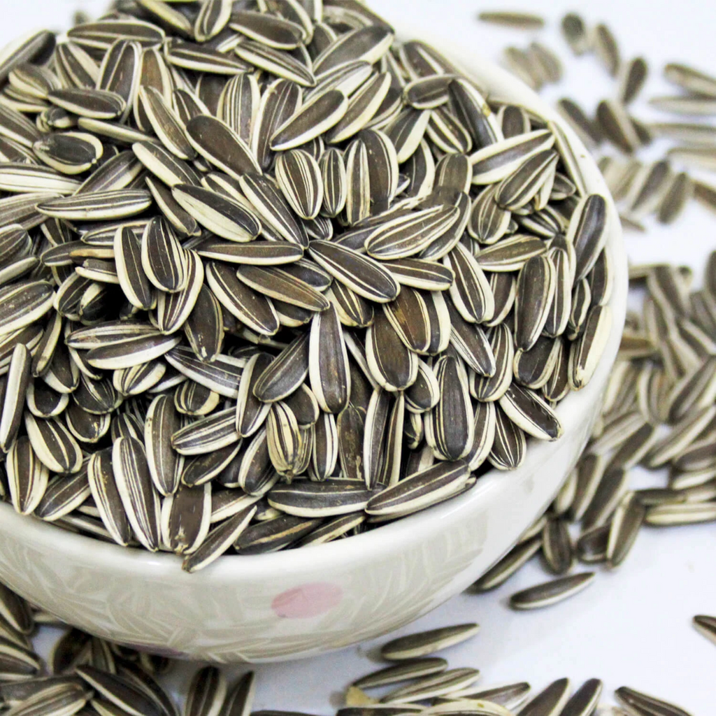 Tukhm e Suraj Mukhi / Sunflower seeds / تخم سورج مکھی