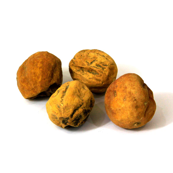 Hanzal / Tumhaa / Bitter Apple تمہ / حنظل