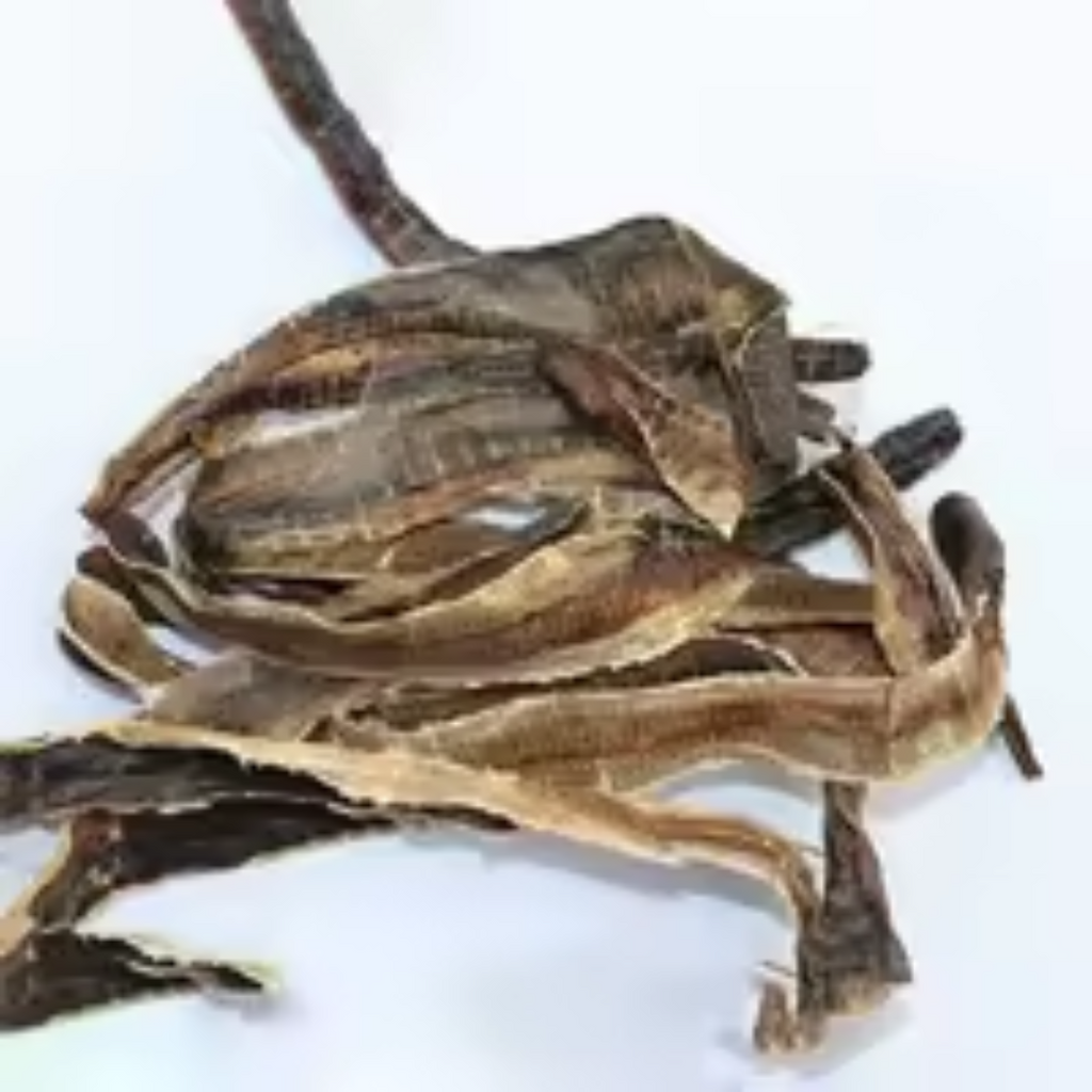 Kharateen / Dried Earthworm / خراطین