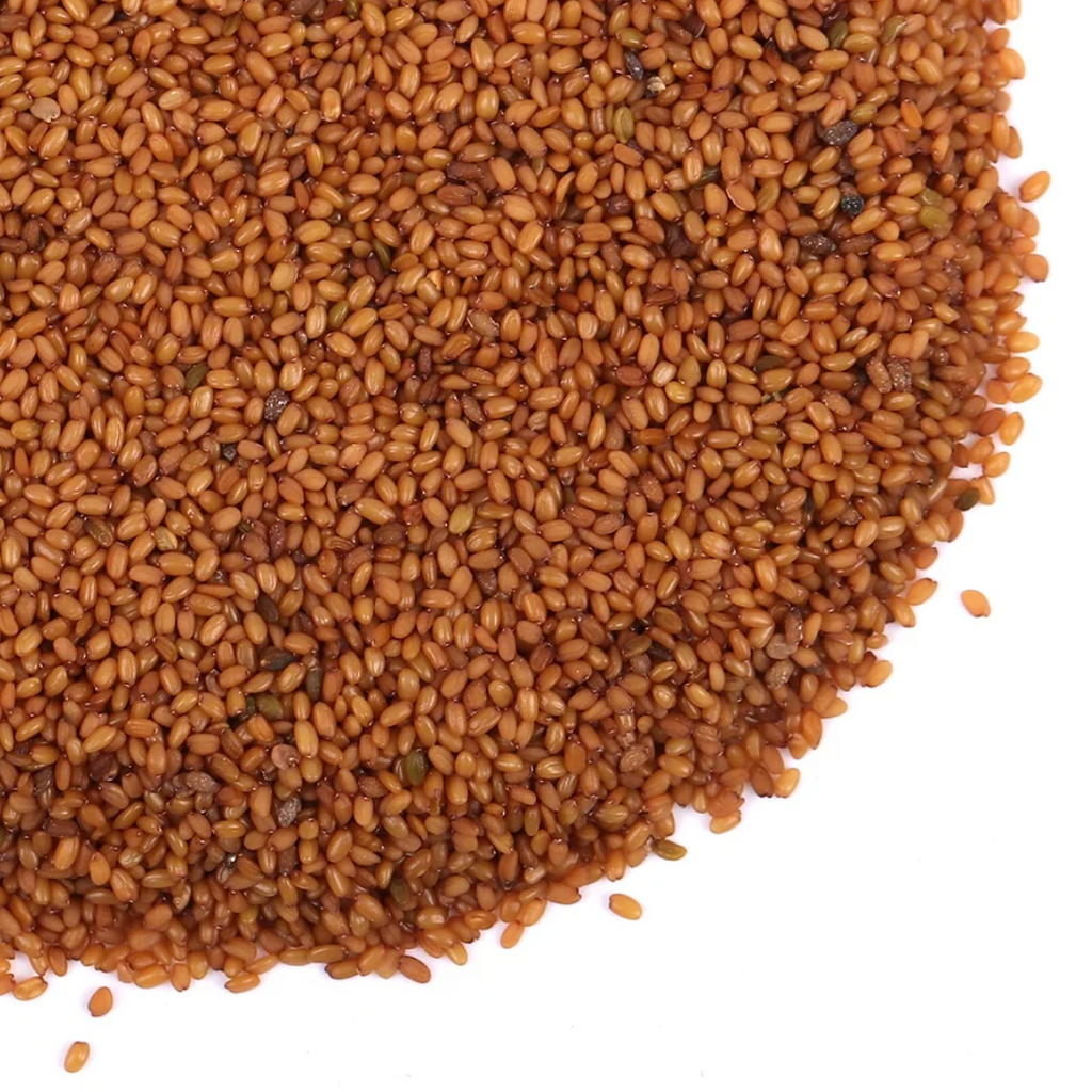 Khubkala / Sisymbrium Irio Seeds / Hedge Mustard Seeds خوب کلاں