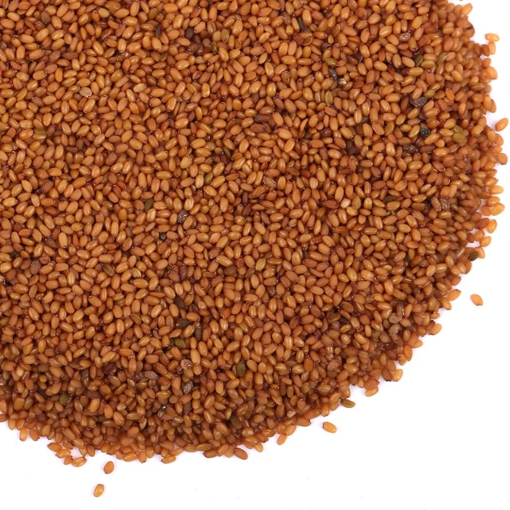 Khubkala / Sisymbrium Irio Seeds / Hedge Mustard Seeds خوب کلاں