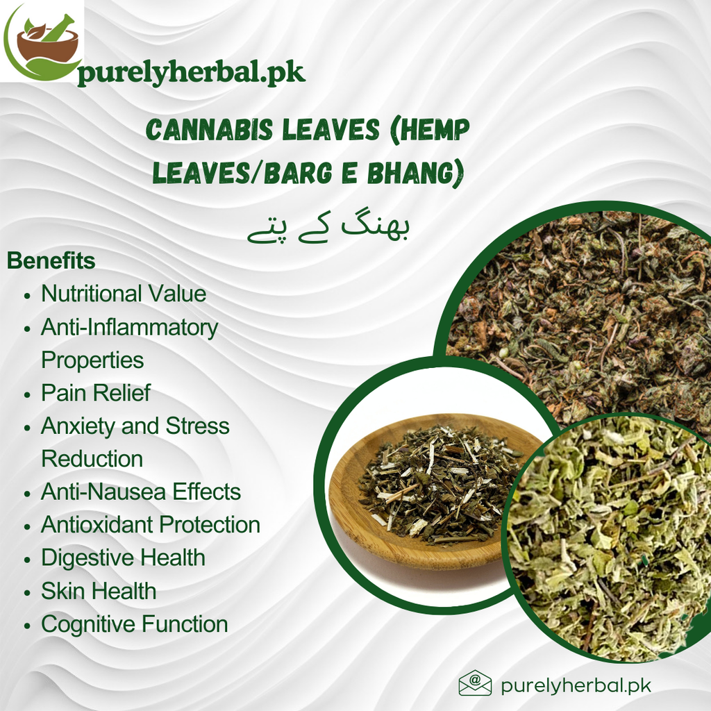 Barg e Bhang / Hemp Leaves / Cannabis Leaves بھنگ کے پتے