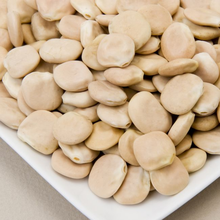 Turmas / Lupine Beans ترمس