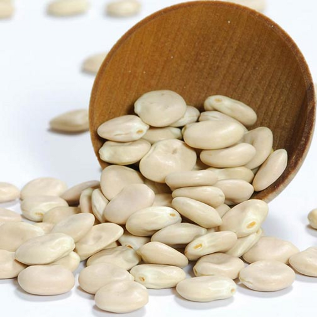 Turmas / Lupine Beans ترمس