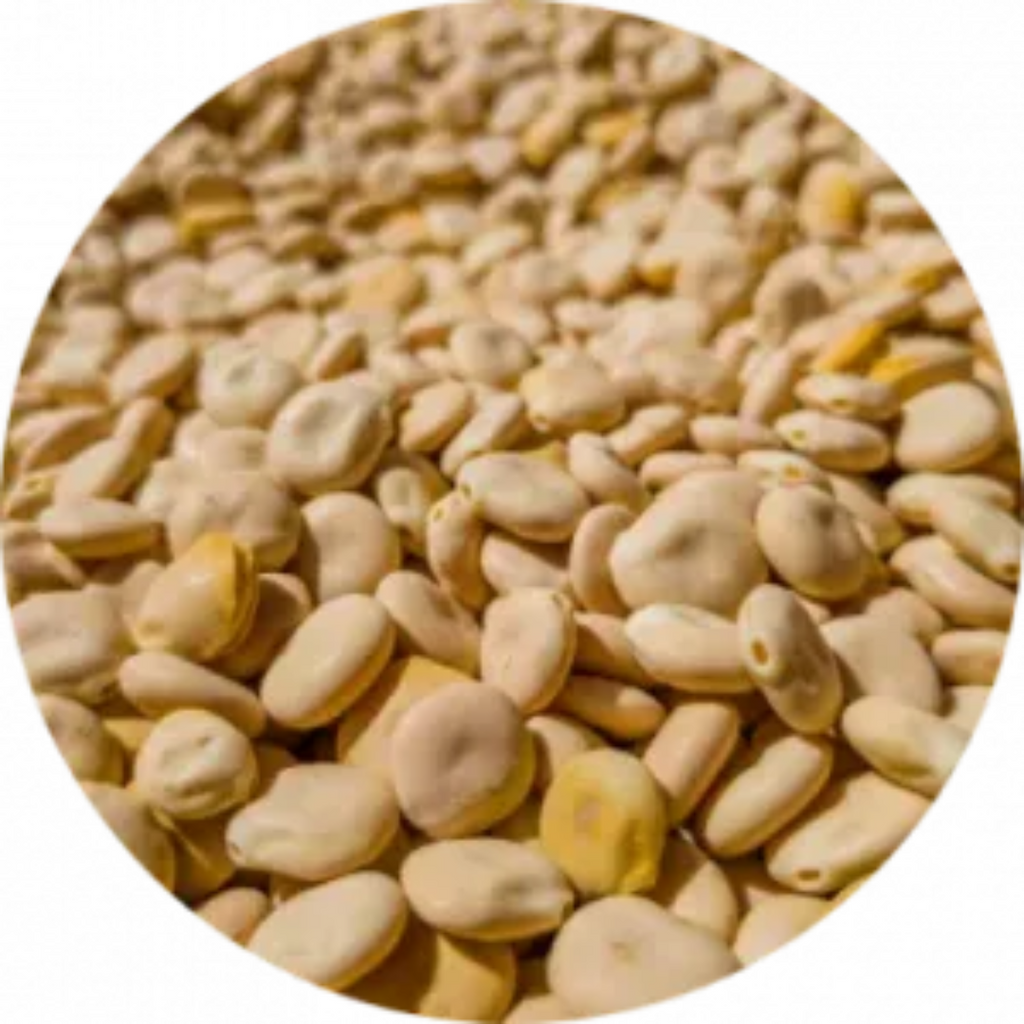 Turmas / Lupine Beans ترمس