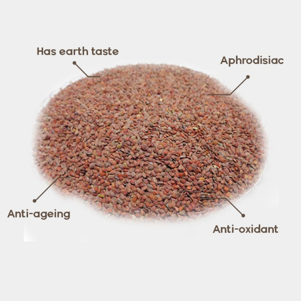 Todri Surkh / Wall Flower Seeds / تودری سرخ