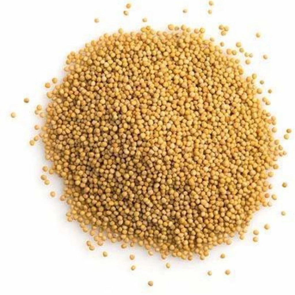 Sarson Safeed/ Rai / White Mustard Seed سرسوں سفید/رائی