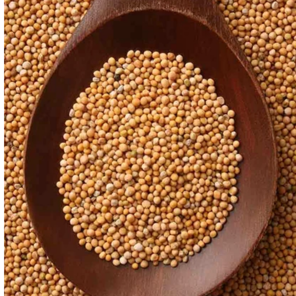 Sarson Safeed/ Rai / White Mustard Seed سرسوں سفید/رائی