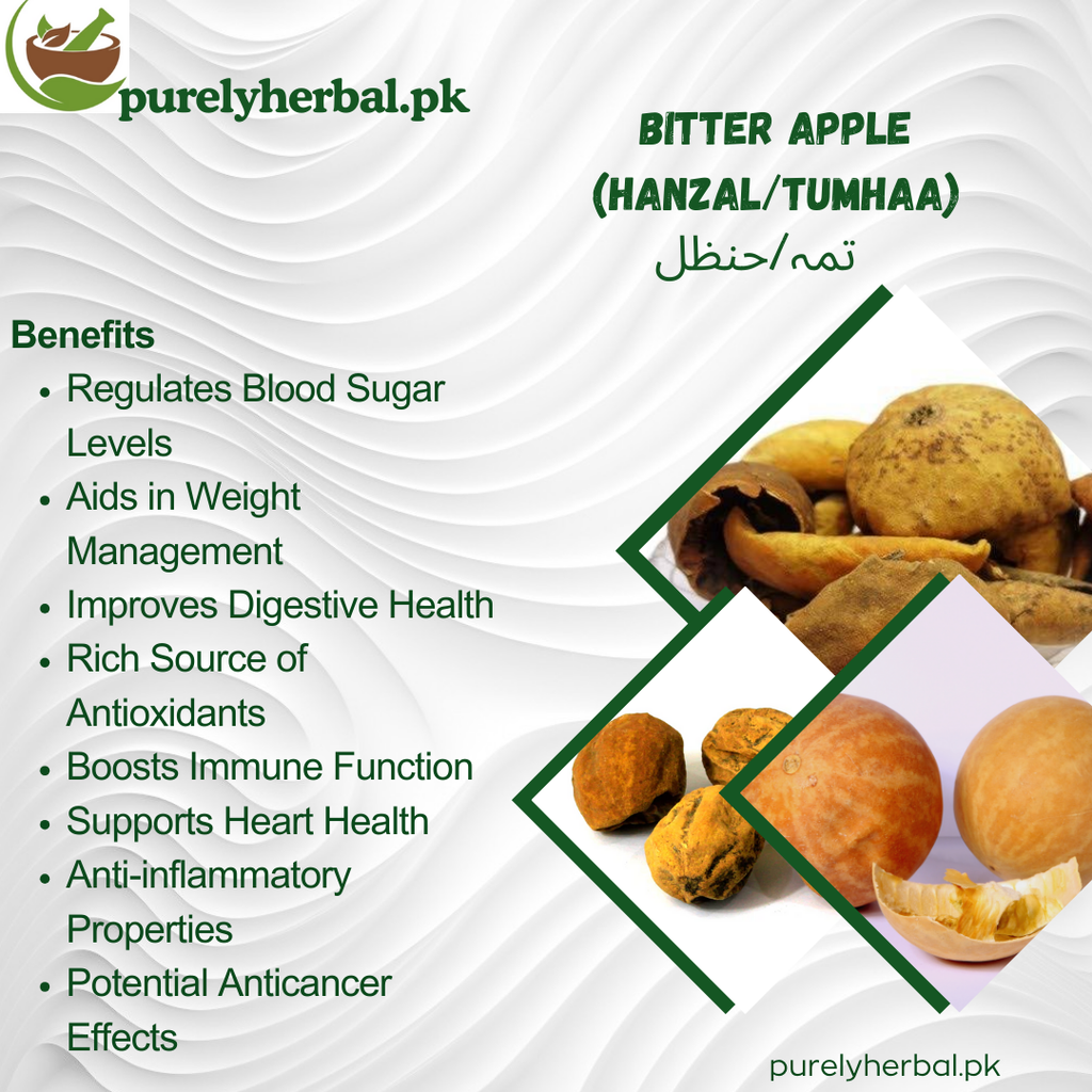 Hanzal / Tumhaa / Bitter Apple تمہ / حنظل