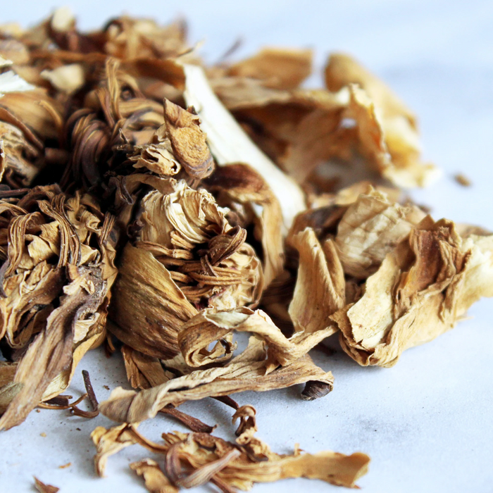 Gul e Nilofer / Dried Waterlily / نیلوفر