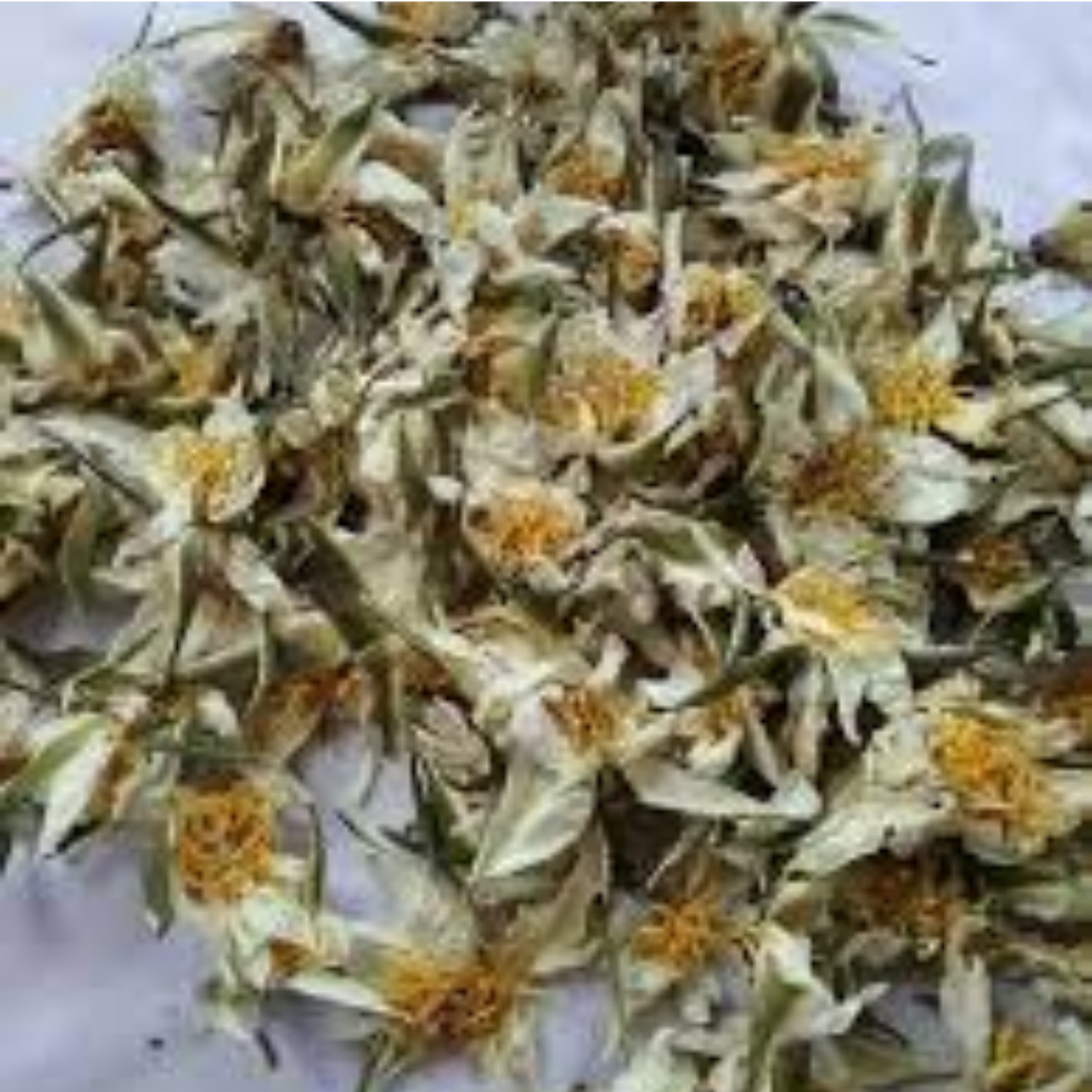 Gul e Nilofer / Dried Waterlily / نیلوفر